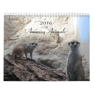 Clever Animals Kalender