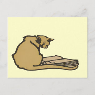 Clever Cat Postcard Postkarte