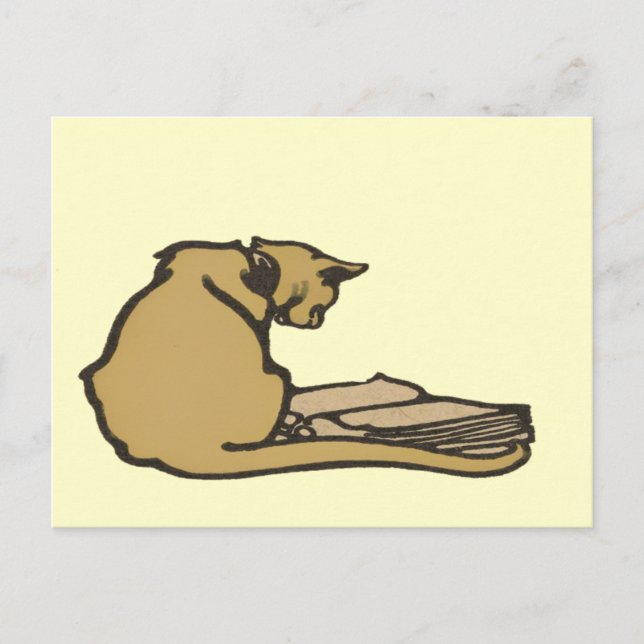 Clever Cat Postcard Postkarte (Vorderseite)