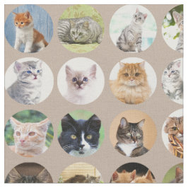 Clever Cats Fabric Stoff