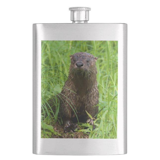 Clever River Otter Flachmann (Vorderseite)