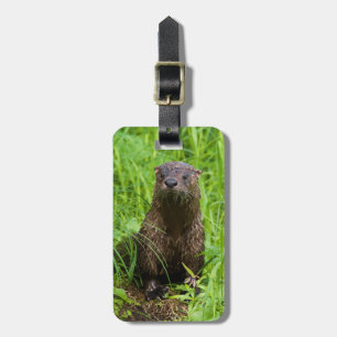 Clever River Otter Gepäckanhänger