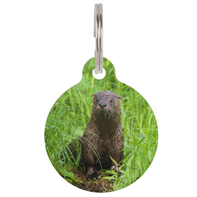 Clever River Otter Haustiermarke (Vorderseite)