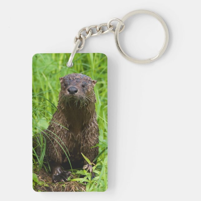 Clever River Otter Schlüsselanhänger (Rückseite)