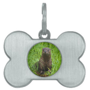 Clever River Otter Tiermarke