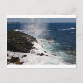 Cliff Walk bei Newport, RI Postkarte