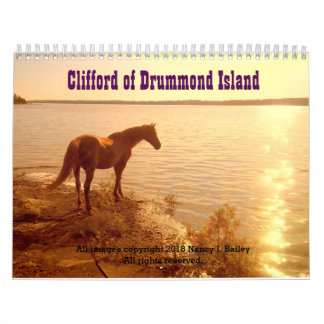 Clifford 2019 der Morgan-Pferdewandkalender Kalender