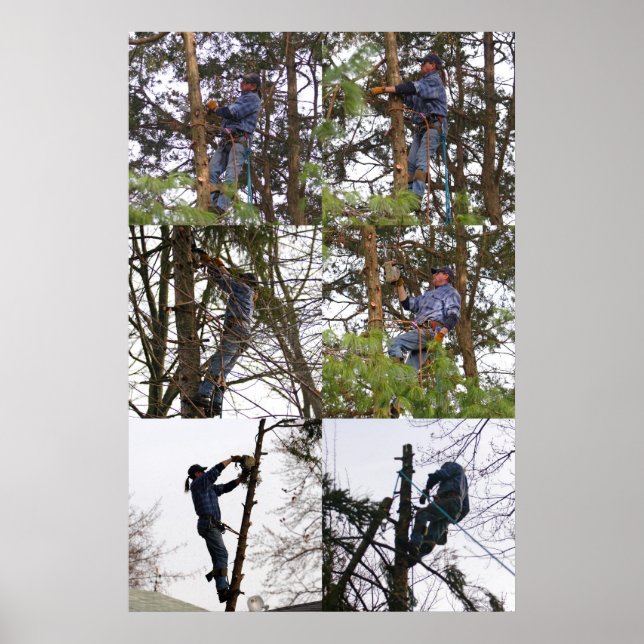 "Climber Jim" Poster (Vorne)