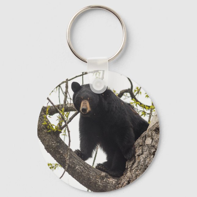 Climbing Black Bear Schlüsselanhänger (Vorderseite)