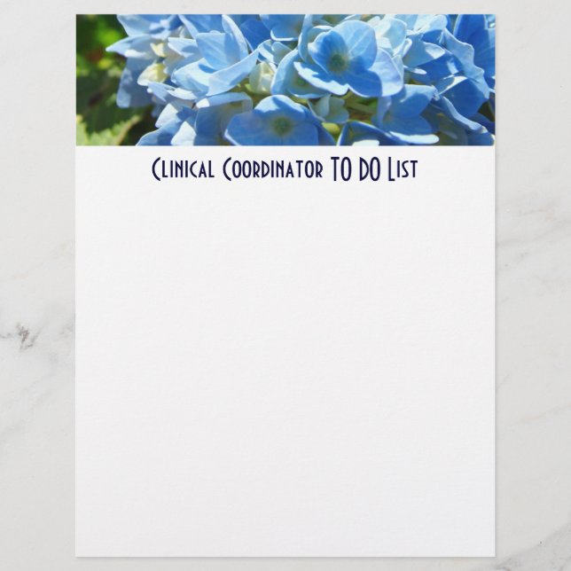 Clinical Coordinator TO DO lList Papier Hydrangeas (Vorne)