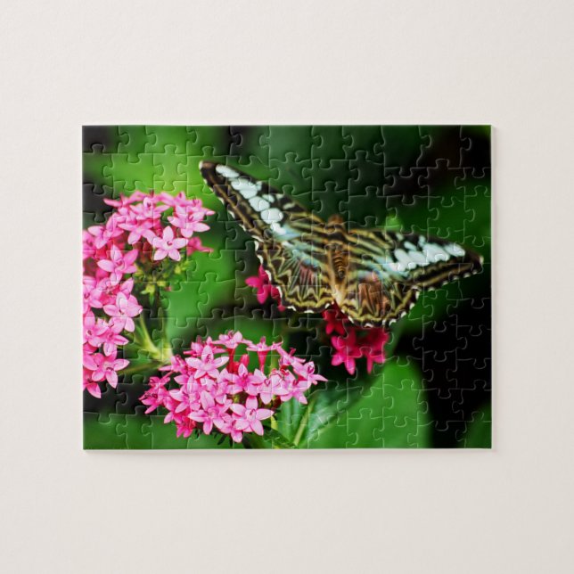 Clipper auf Pentas 1 Puzzle (Horizontal)