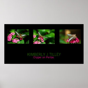 Clipper auf Pentas Landscape Print Poster