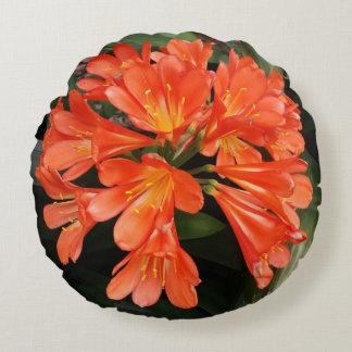 Clivia Miniata - Die Orange Schöne Blume Rundes Kissen
