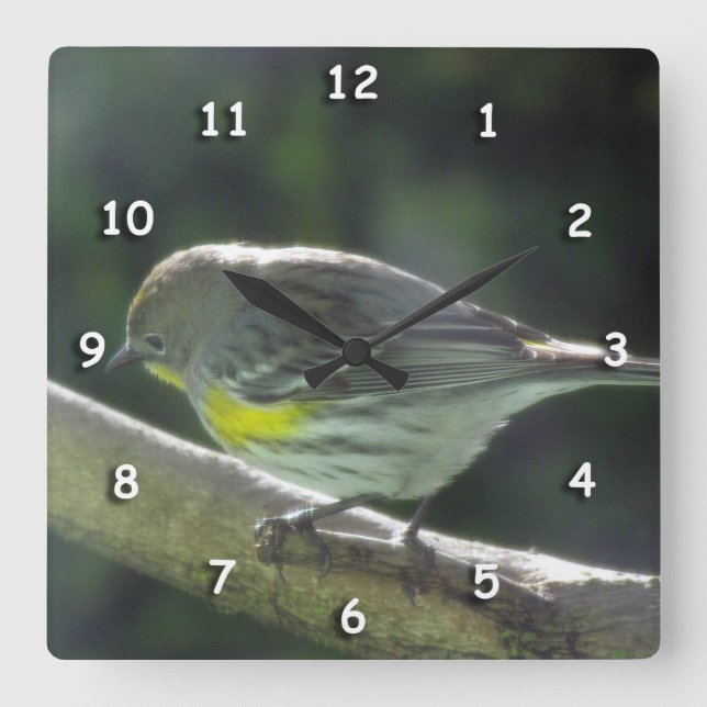 Clock - Bird with Yellow Feathers Quadratische Wanduhr (Vorderseite)