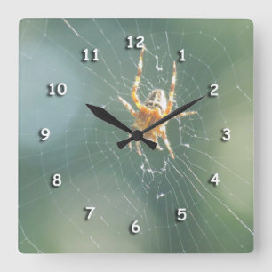 Clock - Spider on Web Quadratische Wanduhr