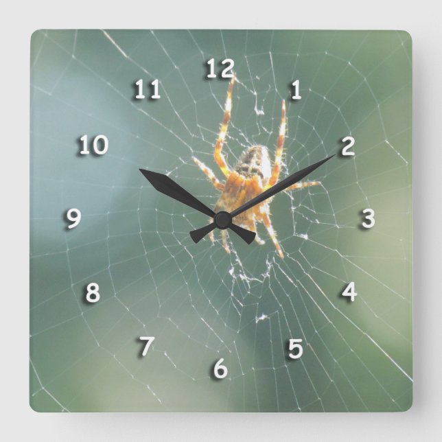 Clock - Spider on Web Quadratische Wanduhr (Vorderseite)