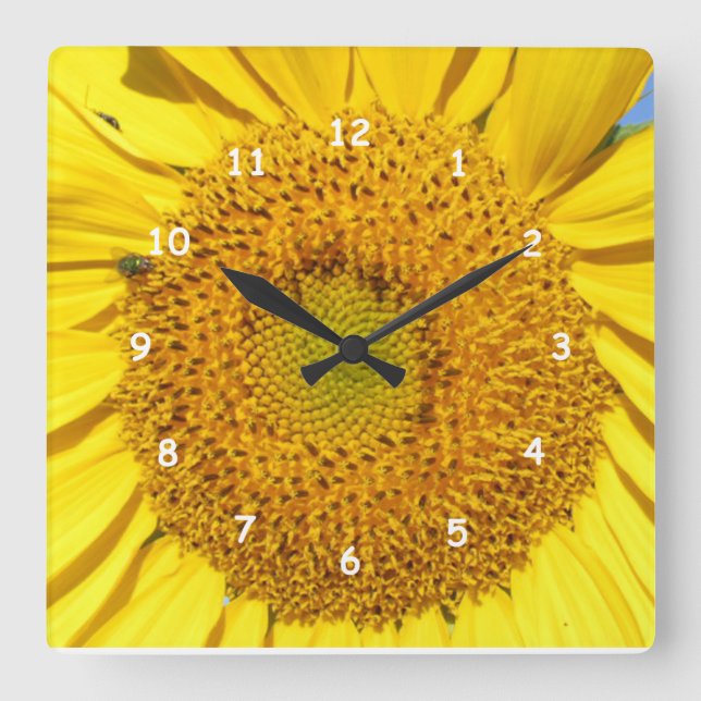 Clock - Sunflower Florets Quadratische Wanduhr (Vorderseite)