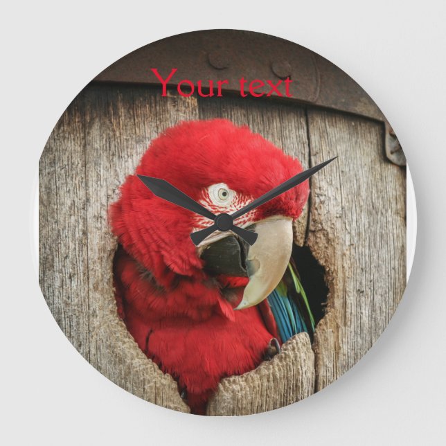 Clock with green wing macaw parrot in Barrel Große Wanduhr (Vorderseite)