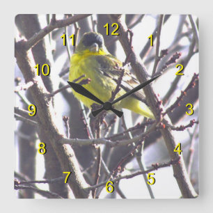 Clock - Yellow Bird in Branches Quadratische Wanduhr