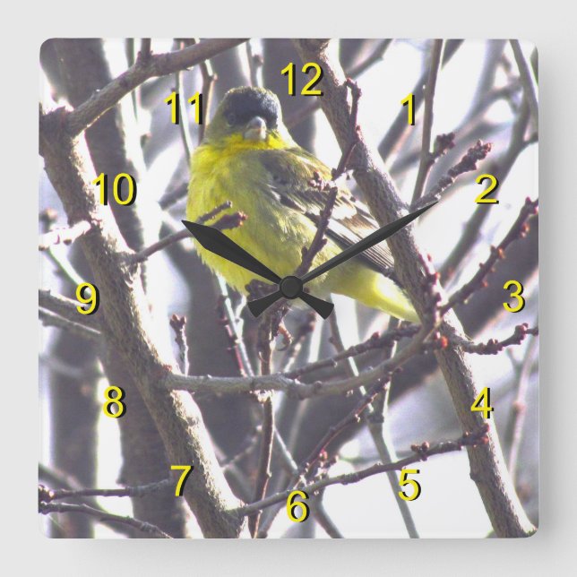 Clock - Yellow Bird in Branches Quadratische Wanduhr (Vorderseite)