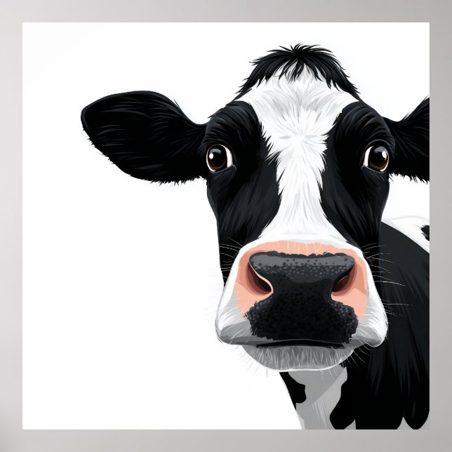 Close-Up Cow Curiosity Poster (Vorne)