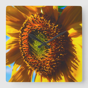 Close-up of a sunflower quadratische wanduhr