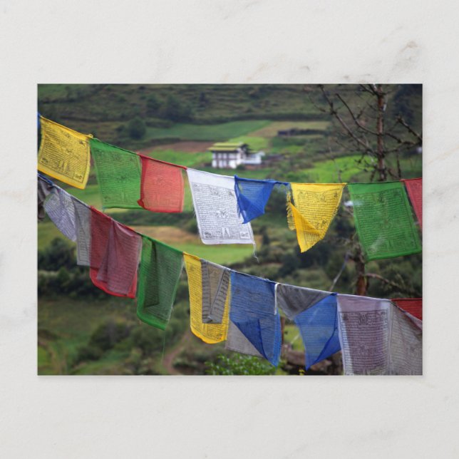 Close Up Of Prayer Flags Postkarte (Vorderseite)