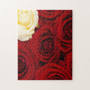 Close-up of roses