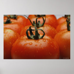 Close-up of tomatoes 2 poster