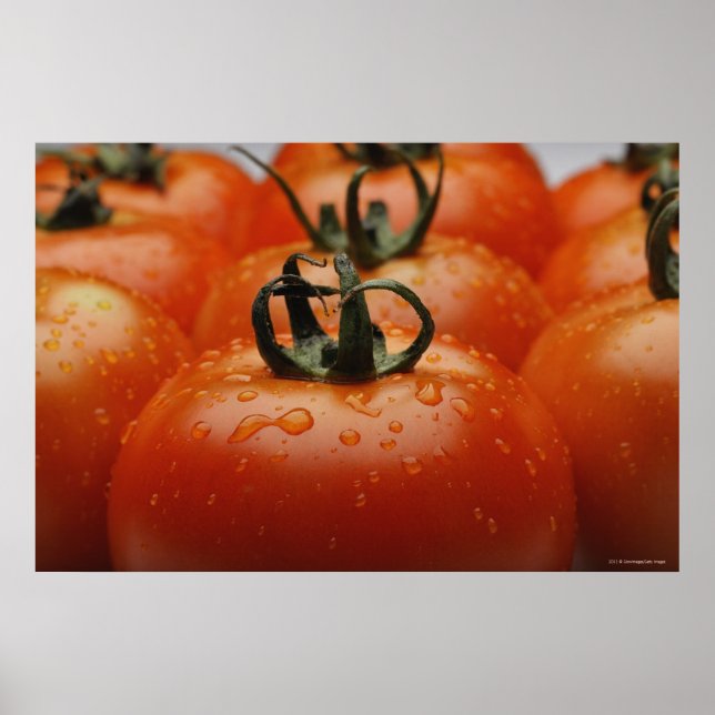 Close-up of tomatoes 2 poster (Vorne)