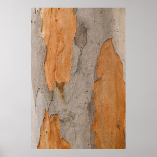 Close up photo of tree trunk poster