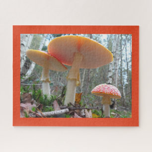 Close Up Puzzle: Fly Amanitas with Cust. Border