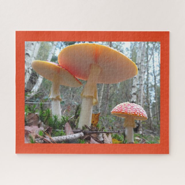 Close Up Puzzle: Fly Amanitas with Cust. Border (Horizontal)