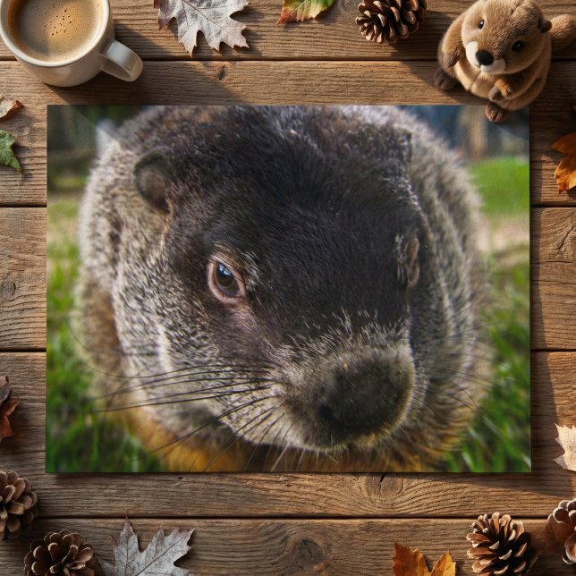 Close Up Realistic Groundhog Face Whiskers Photo Postkarte (Von Creator hochgeladen)