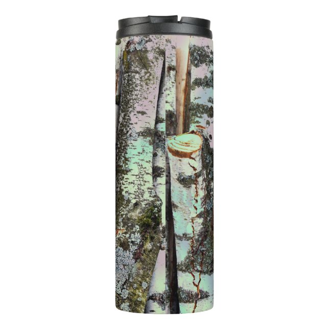 Close-up scene of birch log stumps, cool  thermosbecher (Rückseite)