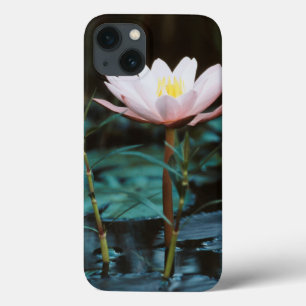 Close-Up view of Water Lily at Inle Lake Case-Mate iPhone Hülle