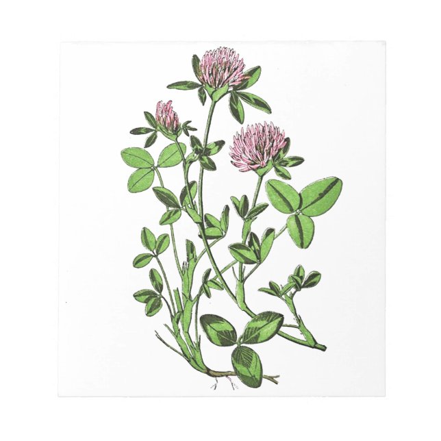 Closed Vintag Botanical Print Notizblock (Vorderseite)