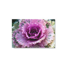Closeup de Kale Ornementale Toile Stretted Art Mur