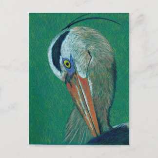 Closeup Heron Postkarte