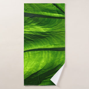 Closeup photo de la feuille verte