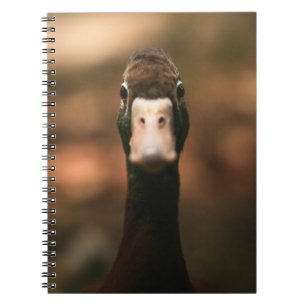 CLOSEUP PHOTO OF DUCK FACE NOTIZBLOCK