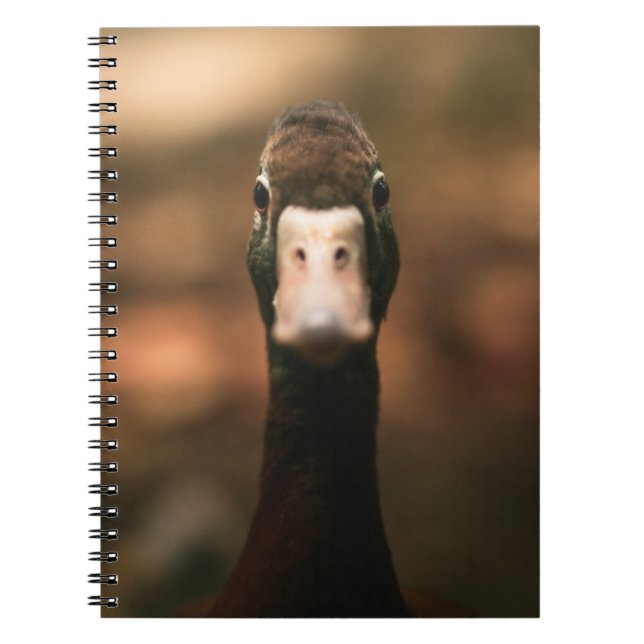 CLOSEUP PHOTO OF DUCK FACE NOTIZBLOCK (Vorderseite)