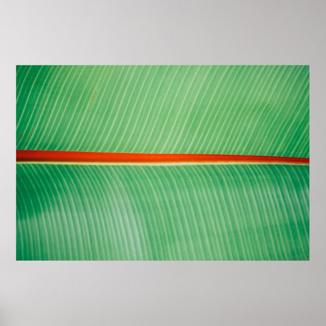 Closeup photo of green leaf poster (Vorne)