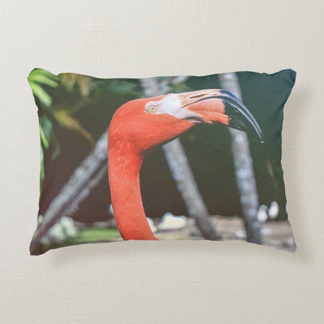 Closeup photography of red long-neck bird dekokissen (Vorderseite)