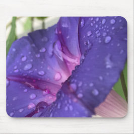 Closeup Purple Dewdrop Morning Glory Close-up Mousepad