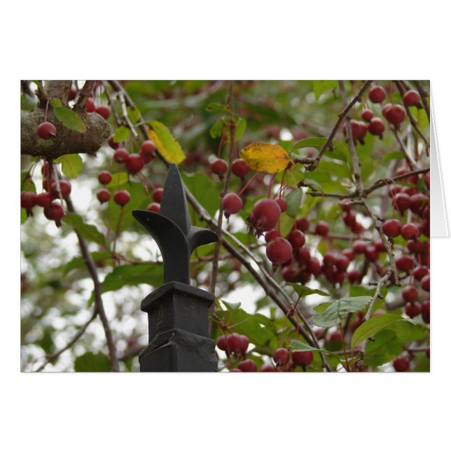 Clôtures et crabes (Devant horizontal)