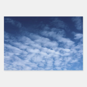Clouages esthétiques Enveloppement de feuilles pla