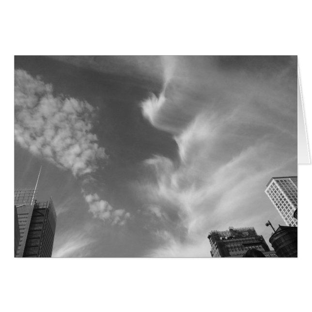 Cloud Bird, New York City, USA, noir, card (Vorderseite (Horizontal))