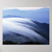 Cloud Mist Darjeeling Indien