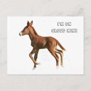 Cloud Nine Postcard Postkarte